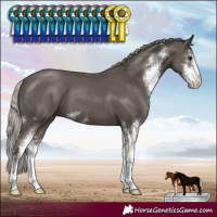 Horse Color:Silver Black Sabino 