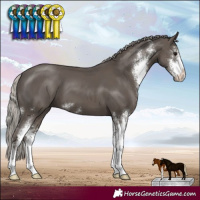 Horse Color:Silver Black Sabino