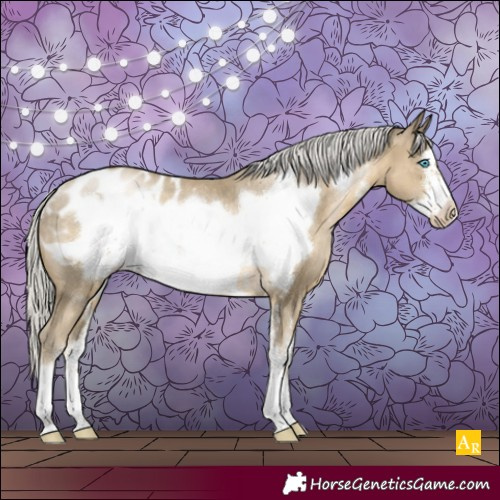 Horse Color:Silver Smoky Black Pearl Sabino Frame Appaloosa Rabicano 