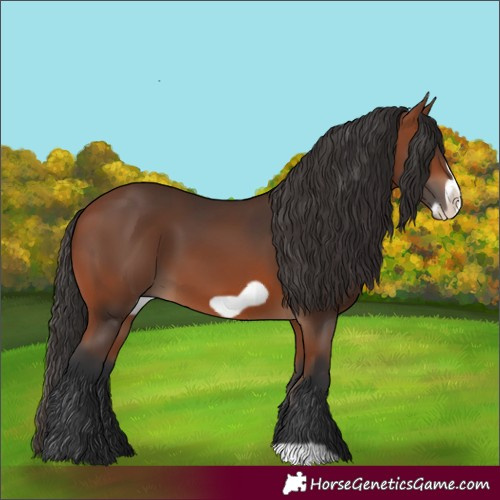 Horse Color:Bay Frame 