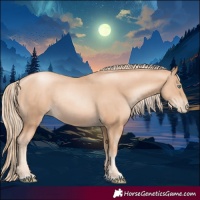 Horse Color:Gold Champagne Pearl Rabicano and Gold Champagne Pearl Rabicano