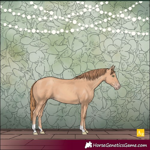 Horse Color:Gold Champagne 