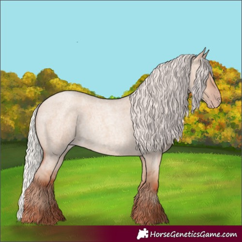Horse Color:Silver Classic Champagne Roan Dun 