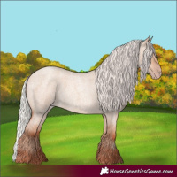 Horse Color:Silver Classic Champagne Roan Dun