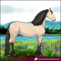 Horse Color:Buckskin 