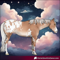 Horse Color:White Spotted Silver Sable Champagne Sabino Blanket Rabicano 