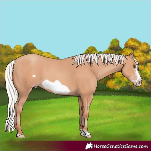 Horse Color:Silver Amber Champagne Frame