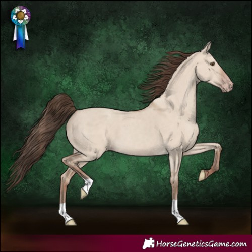 Horse Color:Classic Champagne Dun 