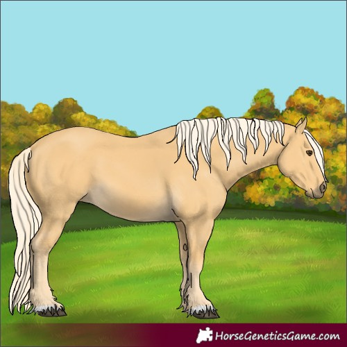Horse Color:Palomino