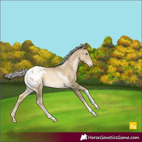 Horse Color:Silver Buckskin Pearl Tobiano Varnish 