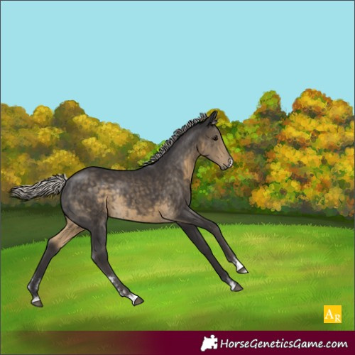 Horse Color:Silver Smoky Black Rabicano 