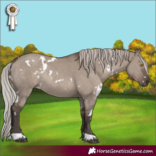 Horse Color:White Spotted Silver Grullo Rabicano