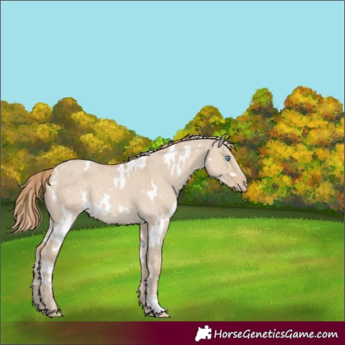 Horse Color:White Spotted Smoky Creme Dun Rabicano Brindle 