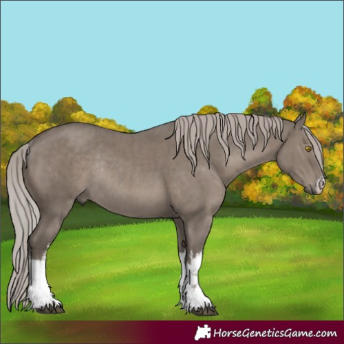 Horse Color:White Spotted Silver Grullo Rabicano Brindle 