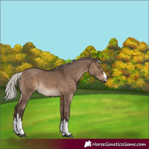Horse Color:White Spotted Silver Brown Dun Rabicano 