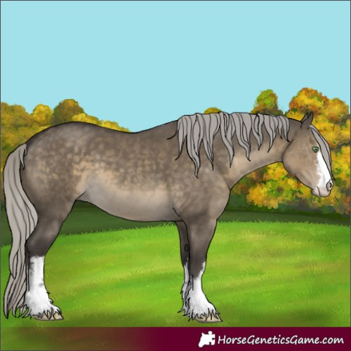 Horse Color:White Spotted Silver Smoky Grullo