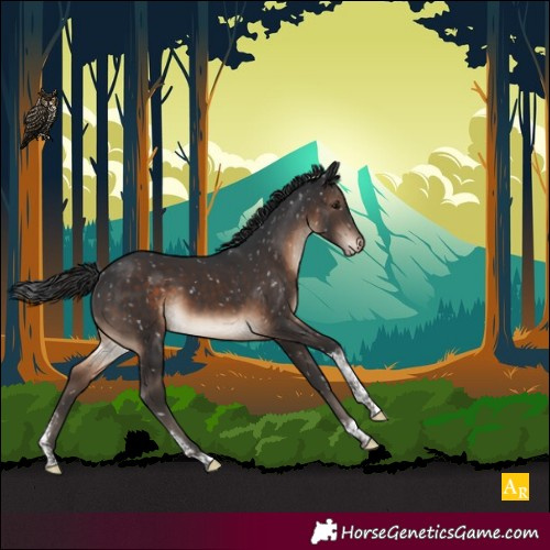 Horse Color:Brown Sabino Tobiano Snowflake Varnish Rabicano 