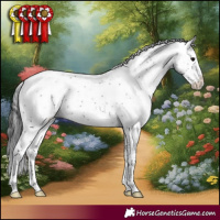 Horse Color:Black Sabino Rabicano