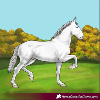 Horse Color:White Spotted Perlino Dun