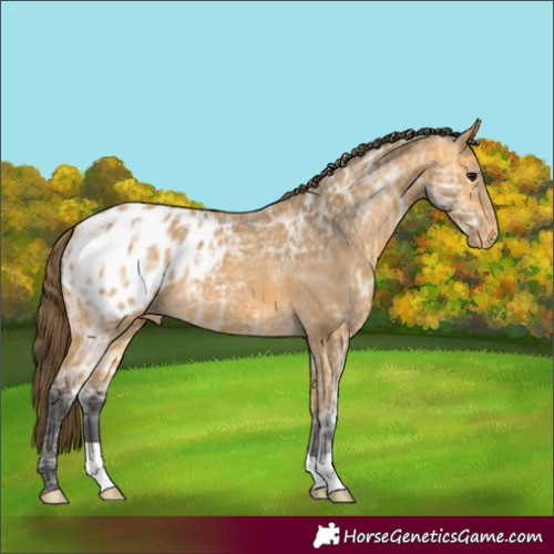 Horse Color:Buckskin Ice Blanket 