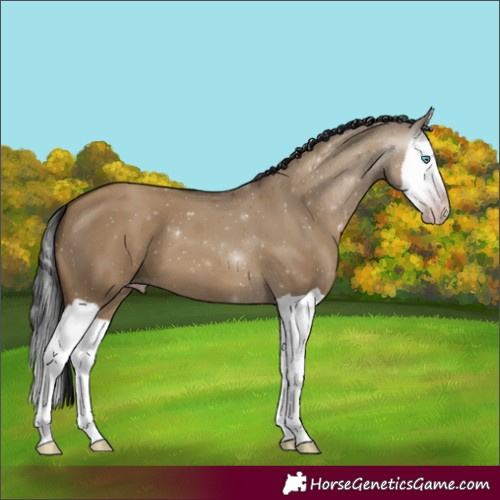 Horse Color:Gray Classic Champagne Dun Splash