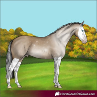 Horse Color:Gray Classic Champagne Dun Splash