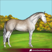 Horse Color:Gray Classic Champagne Dun Splash 