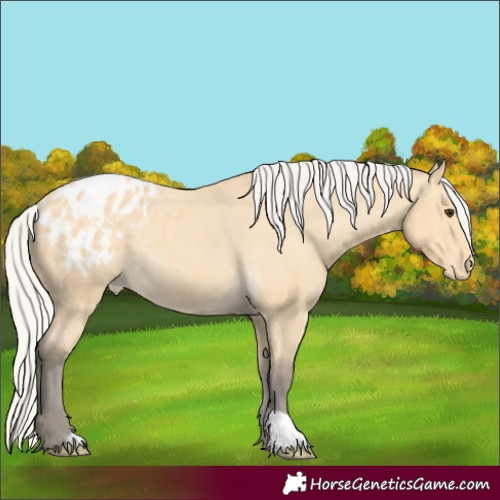 Horse Color:Silver Buckskin Varnish Rabicano