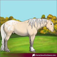 Horse Color:Silver Buckskin Varnish Rabicano