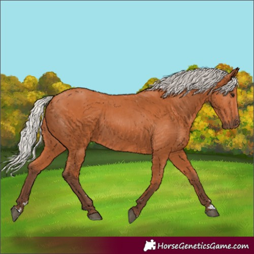 Horse Color:Silver Bay