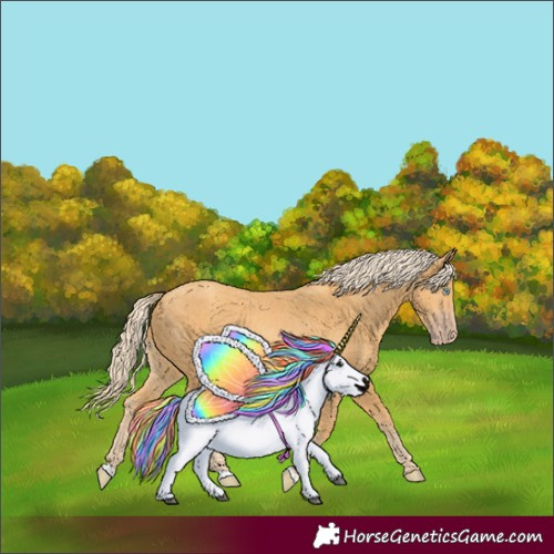 Horse Color:Gold Cream Champagne 