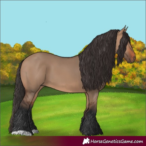 Horse Color:Bay Dun