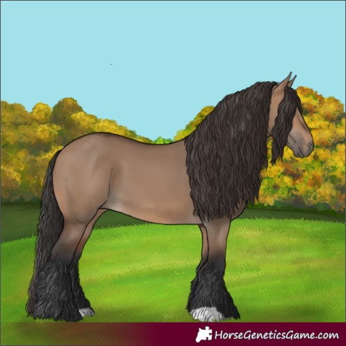 Horse Color:Brown Dun 