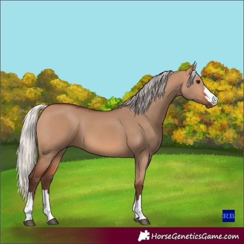 Horse Color:Silver Bay Dun 