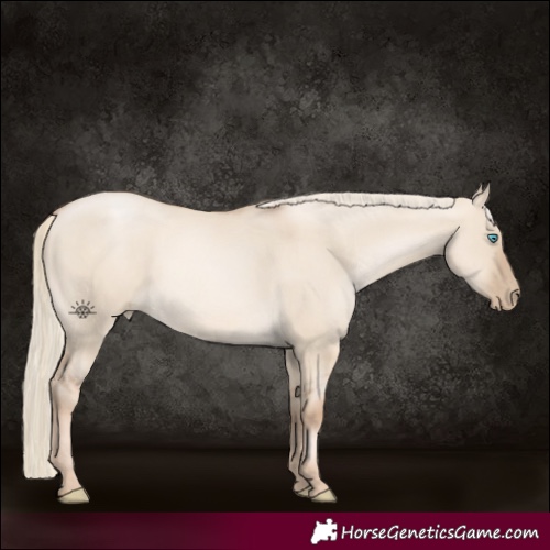 Horse Color:Chocolate Palomino Pearl Dun