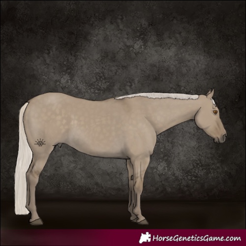Horse Color:Silver Smoky Grullo Rabicano