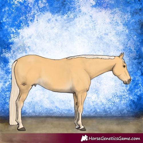 Horse Color:Palomino 