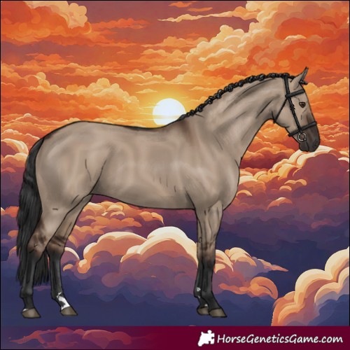 Horse Color:Liver Red Dun Rabicano