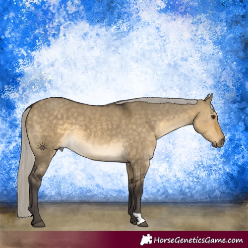Horse Color:Silver Buckskin Dun 