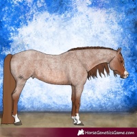 Horse Color:Red Roan 
