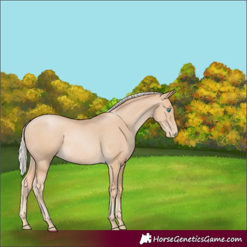 Horse Color:Silver Buckskin Pearl Rabicano 