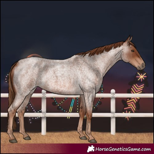 Horse Color:Red Roan 
