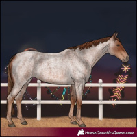 Horse Color:Red Roan 