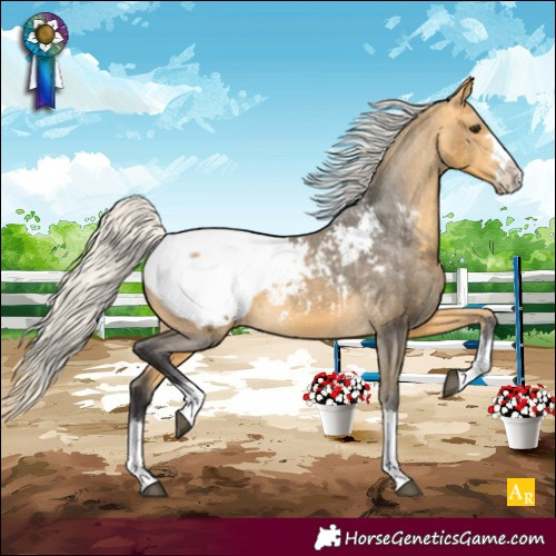 Horse Color:Silver Buckskin Appaloosa 