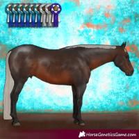 Horse Color:Gray Silver Brown