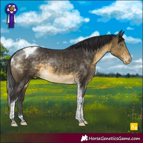 Horse Color:Buckskin Tobiano Varnish Rabicano 