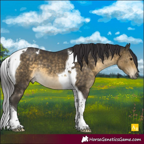 Horse Color:Buckskin Tobiano 