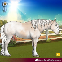 Horse Color:Silver Smoky Creme Appaloosa 