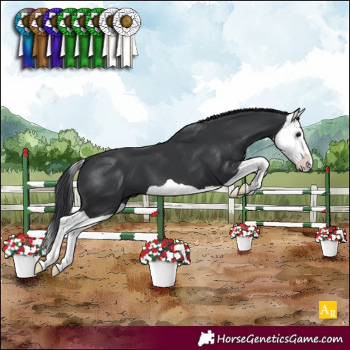 Horse Color:Black Splash 