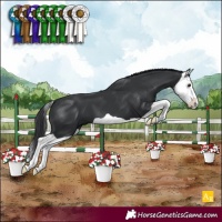 Horse Color:Black Splash